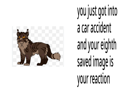 You Just Got Into A Car Accident And Your 8th Saved Pic Is Your Reaction - REMIX remix remix