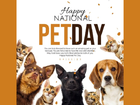 Happy National Pet Day