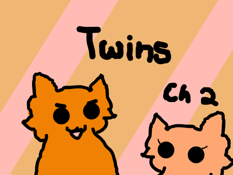 Ch 2 ~ Twins