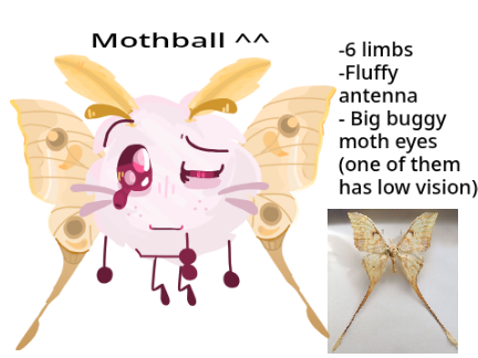 Mothball 