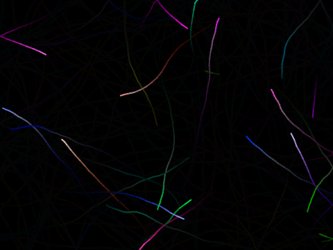 Lines