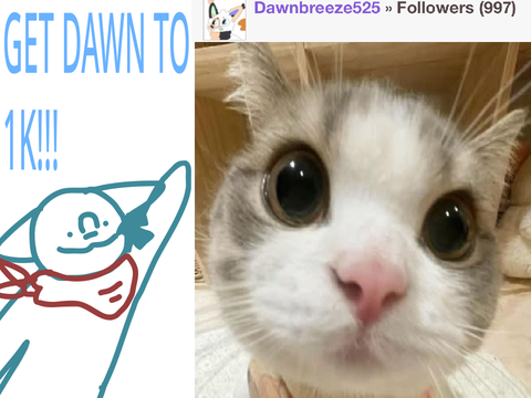 Get @Dawnbreeze525 to 1k followers!! :D 