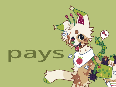wip pays