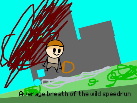 Average Breath of the Wild speedrun (Markiplier)