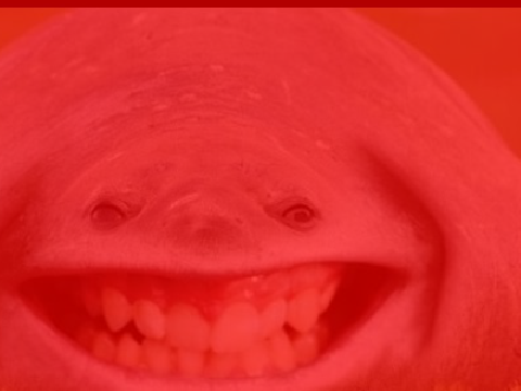 -_-