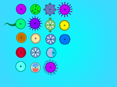 Cell Lab Vectors