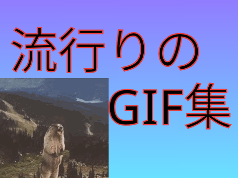 ネットミーム集