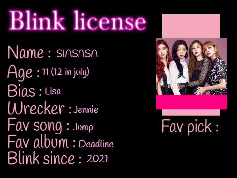 BLINK LISCENCE