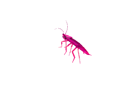 Untitled-1634266