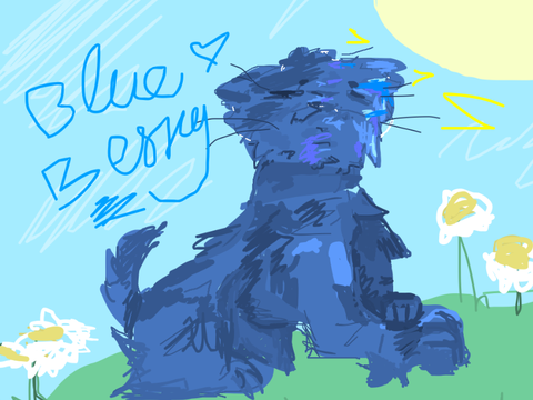 Blueberry berry cat entry :3 ☀︎☀︎★