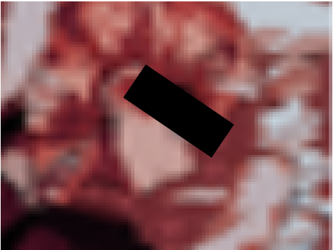 THE MINAMOTO FILES