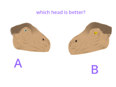 guys which head is better?