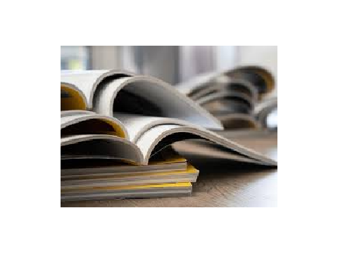 Book newsletter process and preparations - DNI!