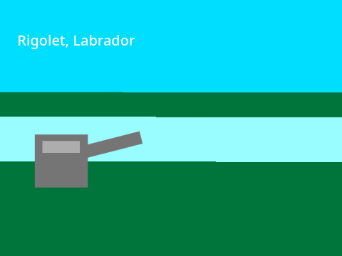 The defence of labrador