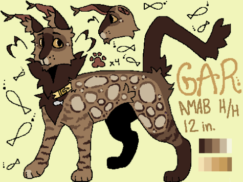 Garswim ref