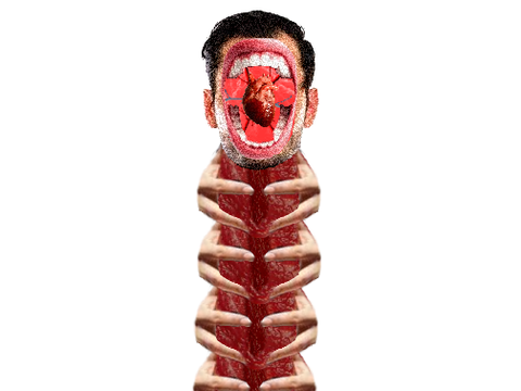 serpent segments