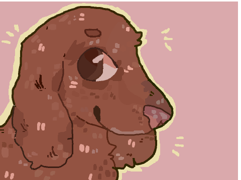 B a R K