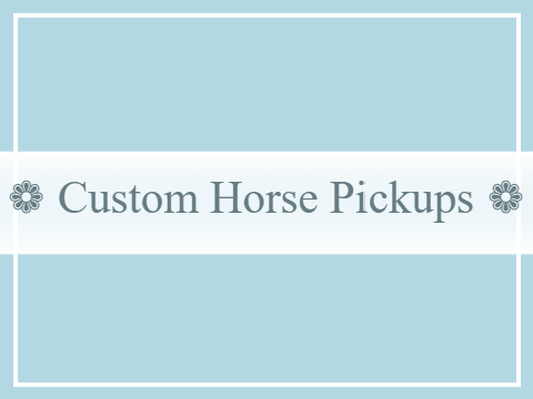 No.9 ❁ Custom Horse Pickups