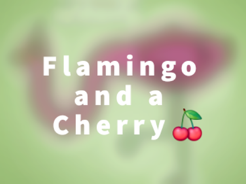 ♡Flamingo and a Cherry♡