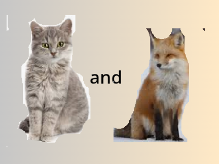 and 