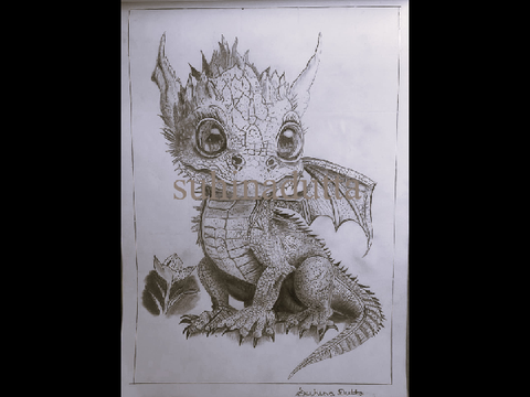 A Dragon