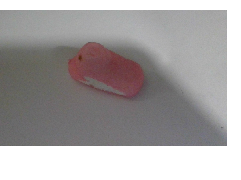 I GOT A PEEP