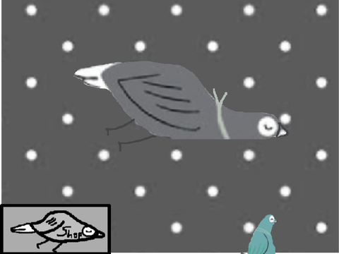 Pigeon clicker