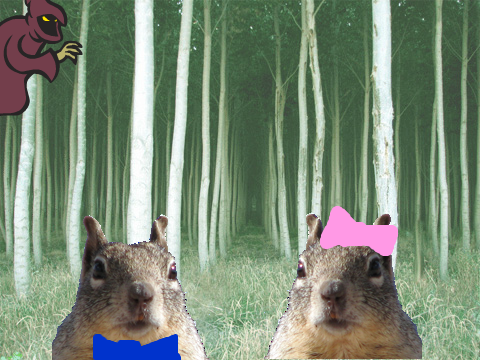 Squirrels on Vaca