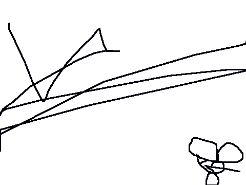 THE REAL MAGROLOMOUSE