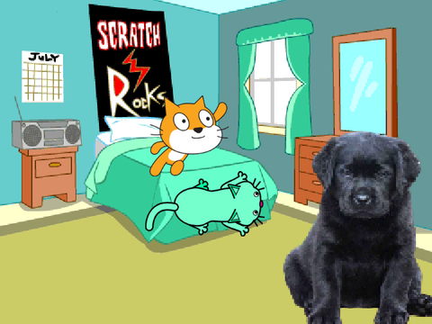 cat go to sleep...