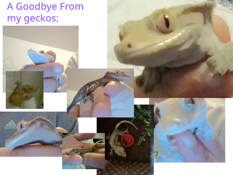 FOR SKYLER!!!