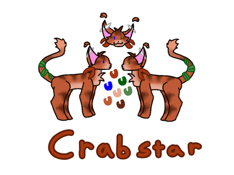 Crabstar of lightclan.
