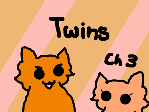 Ch 3 ~ Twins