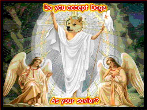 wow such doge