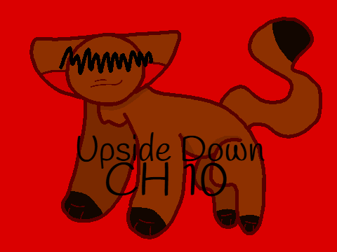 Upside Down | Ch.10