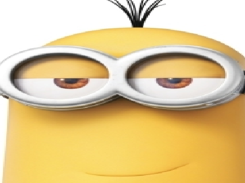 kevin's brother