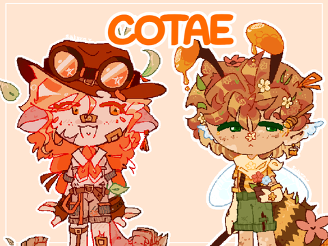 [1/2 OPEN] OTA