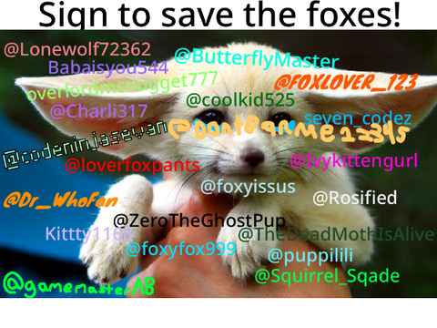 STOP HUNTING FOXES remix remix remix remix remix 7's remix... remix remix remix remix remix r… remix
