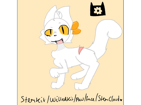 Stem’cloud and art