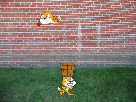 Cat Cat Cat