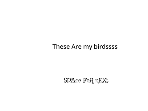 My pets