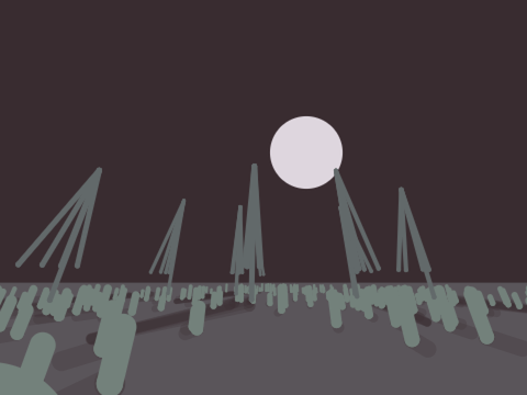 3d test