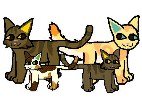 TigerStar and family