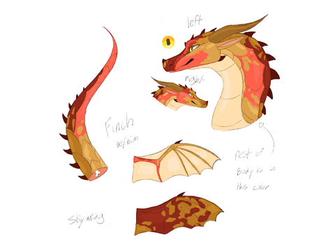 HOW TO COLOR WOF 