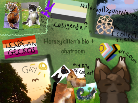 Extended bio + chat room!!!!!
