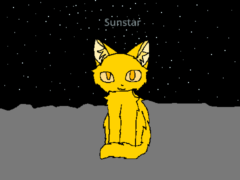 Sunstar - Leader of Spaceclan!