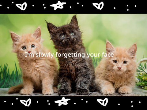 ~I’m slowly forgetting your face…~