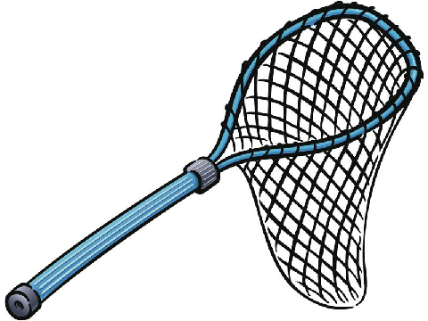 net
