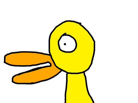 CHANNEL YOUR INNER DUCK