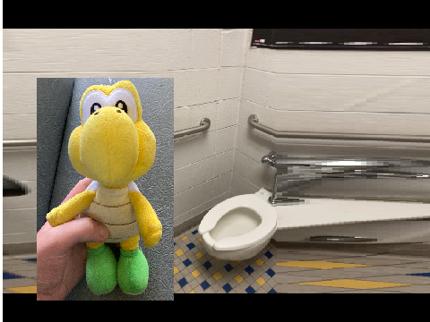 Koopa K poops